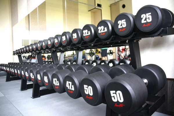 Aerofit AFDB40-50 набор обрезиненных гантелей